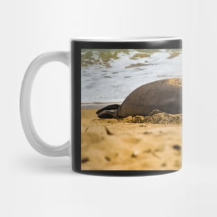 Monk seal 1 Mug